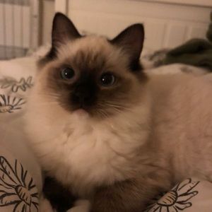 Meet your Posher, Brynleigh